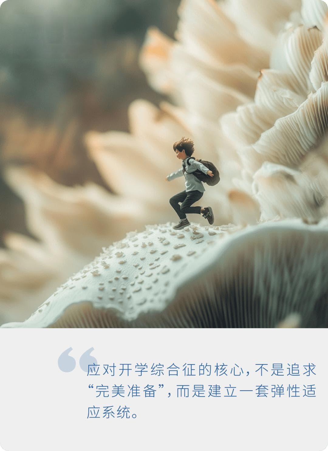 新学期在即，“5个准备”助孩子完美开学（转给家长）