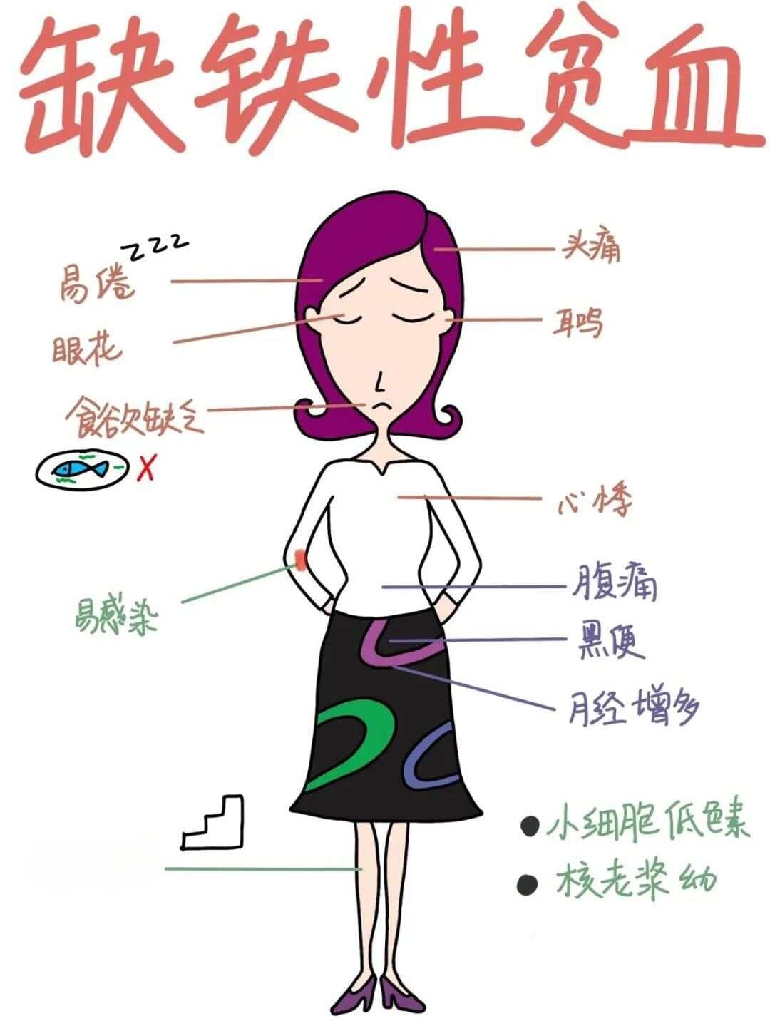 贫血的类型与治疗方法