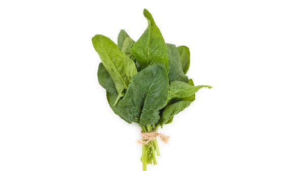 每天吃菠菜对身体有坏处吗