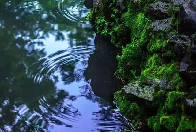 老话“最怕龙抬头是晴天”，今日二月二，晴天啥预兆？农谚有说法