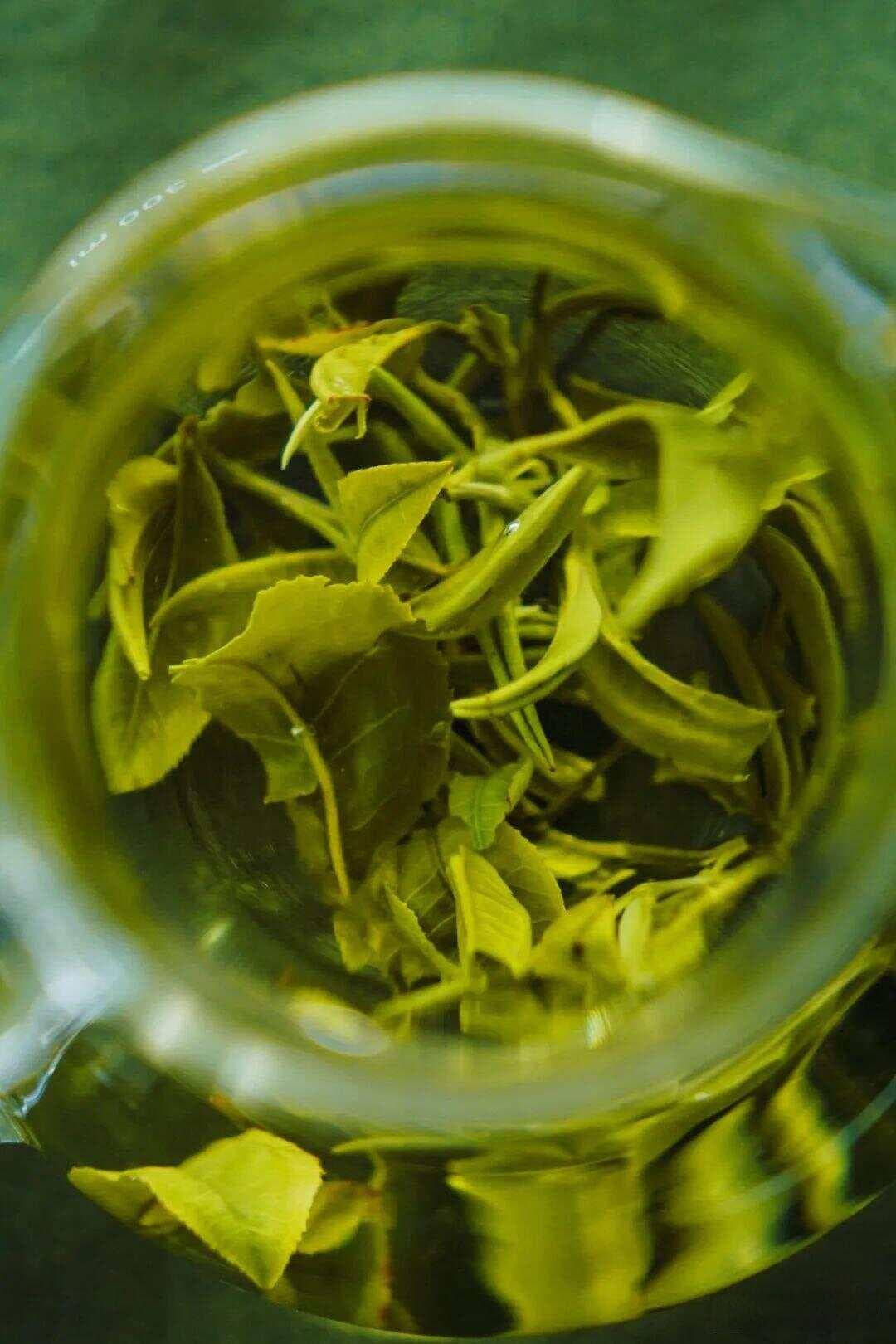 原来喝喝茶，比吃保健品更好