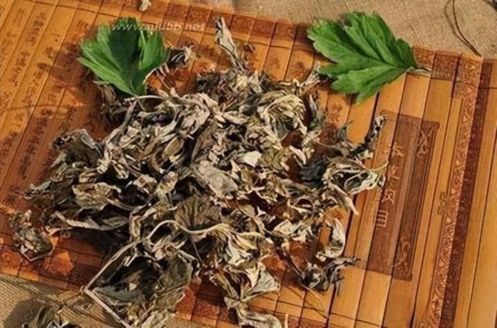 晒干艾草的5个实用妙用，从驱蚊到保健，让生活更美好