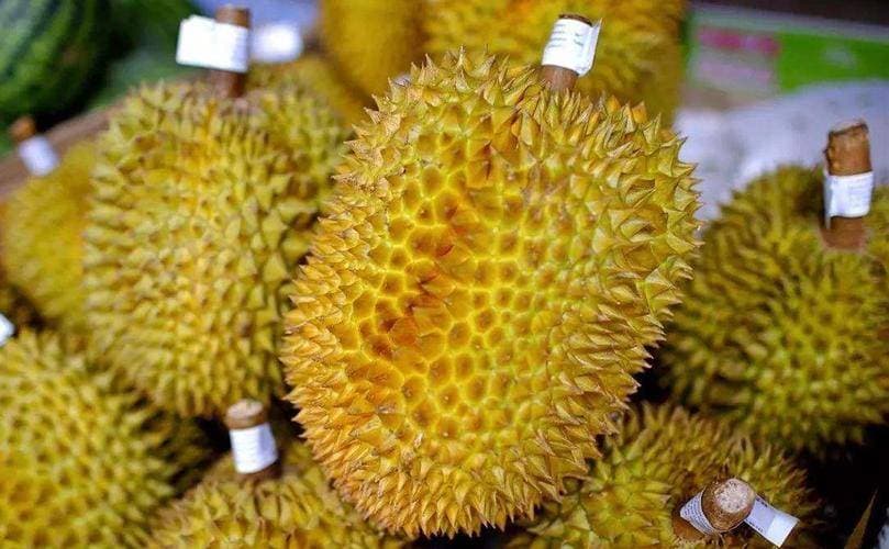 国产榴莲开始量产，进口榴莲价格缩水近9成，泰国：中国必须买单
