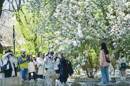享受无“敏”春天，请收好这份花粉过敏指南