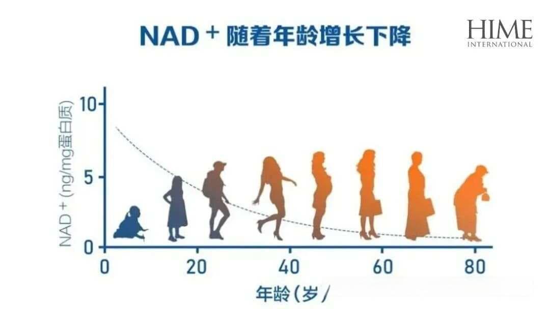 卫健委重要公告：Gene·AKG或成抗衰新国标，延缓衰老效果达274%