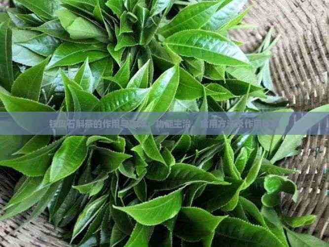 铁皮石斛茶的功效与作用：从传统到现代的健康之选