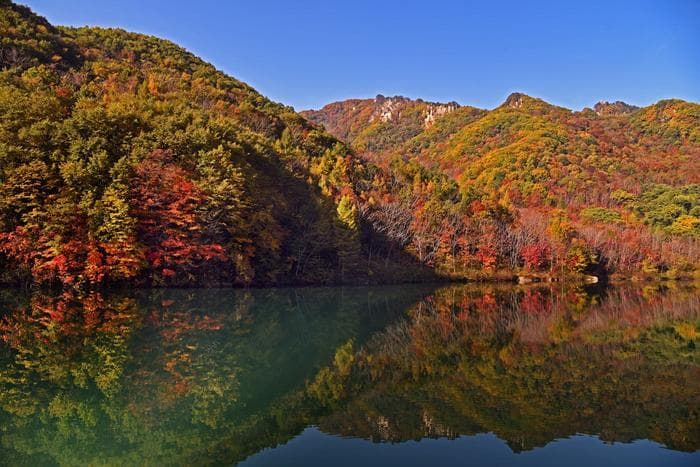丹东宽甸天桥沟，中国枫叶最红最艳的地方，十一赏秋最红的风景