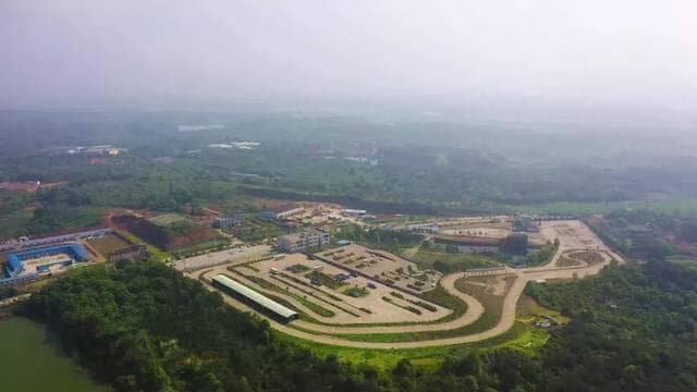 驾考科目三直线行驶为啥老跑偏？原因在这几点！