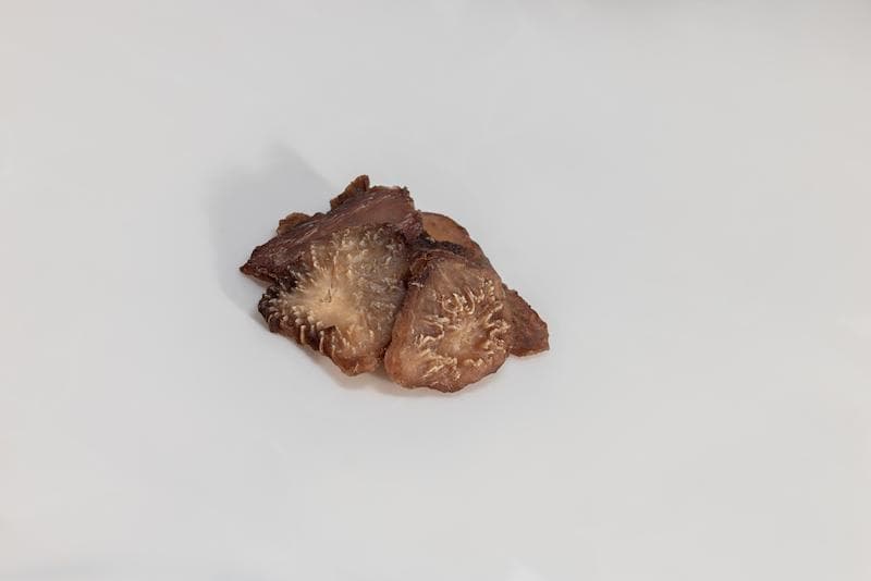 什么是苁蓉？肉苁蓉的种类、功效与选购指南