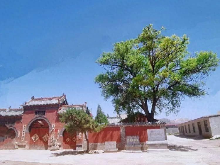 “太原国宝”系列㉟辛庄开化寺