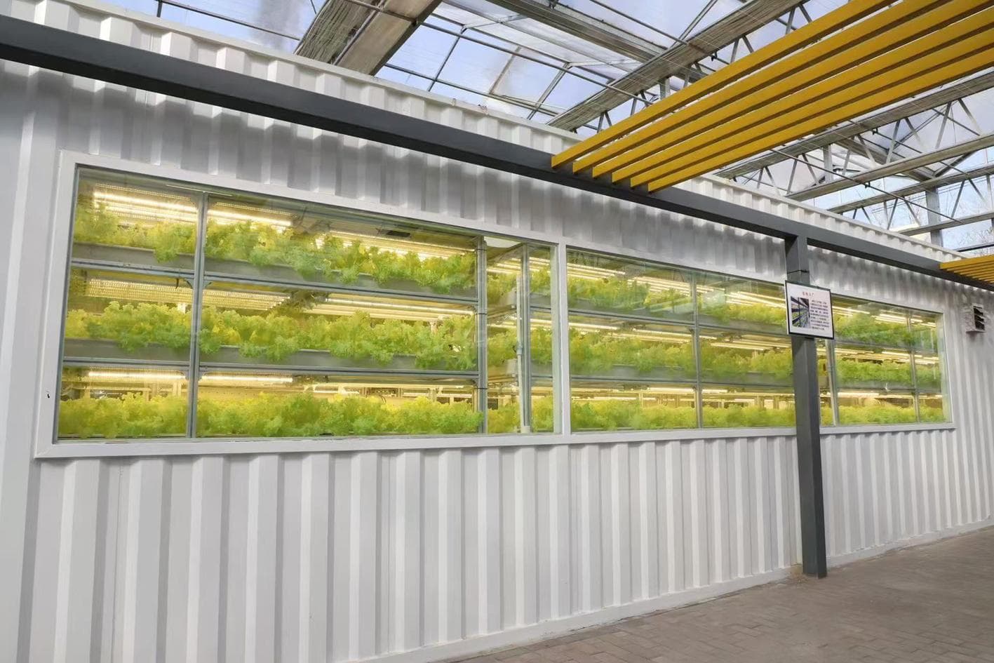扬州江都：植物工厂“慧”种植 叶菜单产提高上百倍