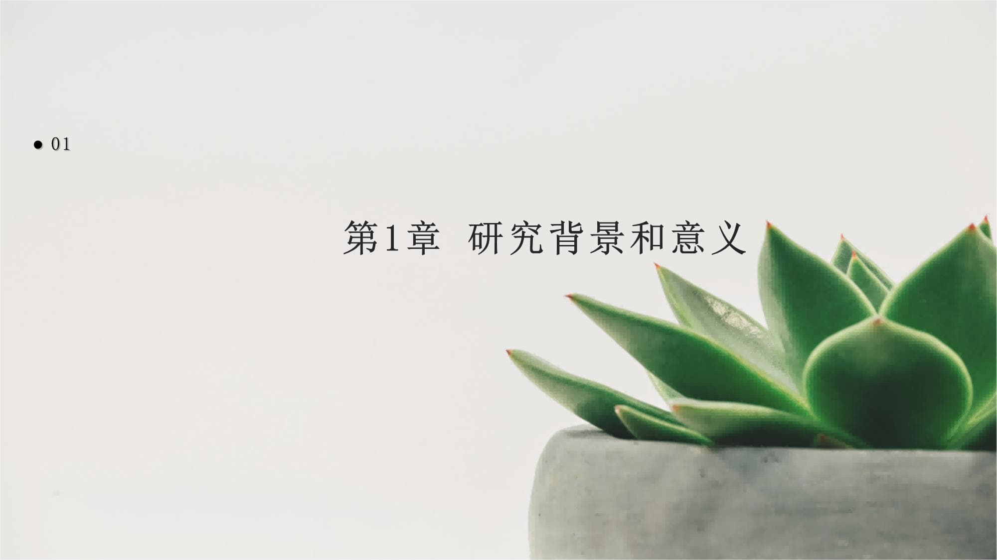 舞蹈本科评估材料：课程设置、师资队伍与实践教学的全面解析