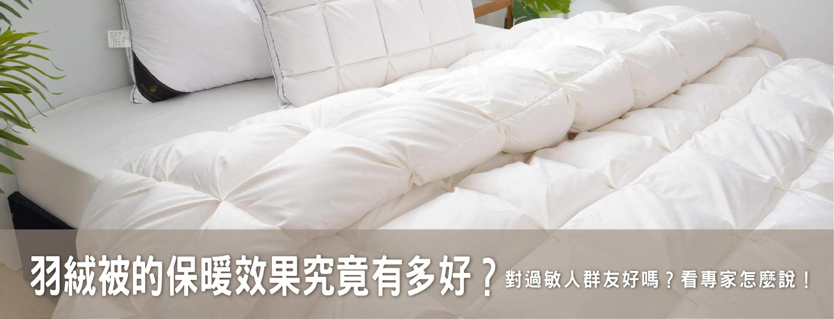 羽絨被的保暖效果究竟有多好？對過敏人群友好嗎？看專家怎麼說！
