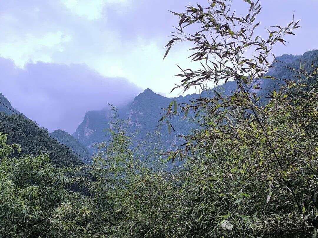 发热病人的饮食禁忌