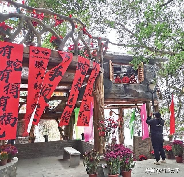 美学工坊驱动肇庆乡村新实践 美学赋能 乡村“蝶变”