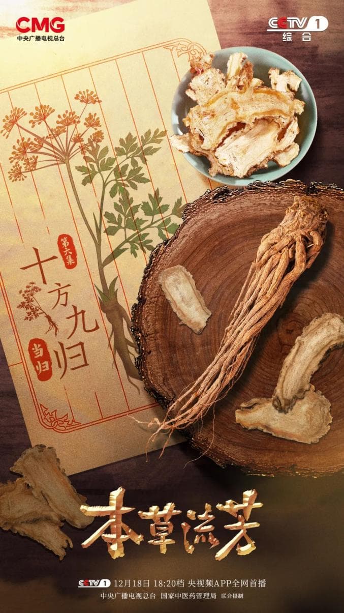《十方九归 当归》