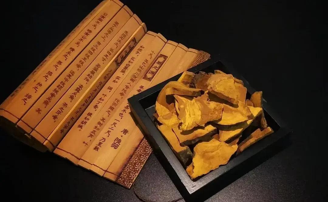 桑黄多糖的药理作用及提取方法研究进展