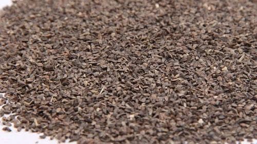 茺蔚子的功效与作用、禁忌和食用方法