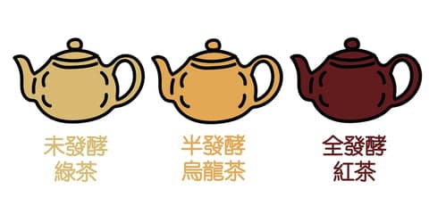 焙茶是綠茶嗎？咖啡因含量是多少？