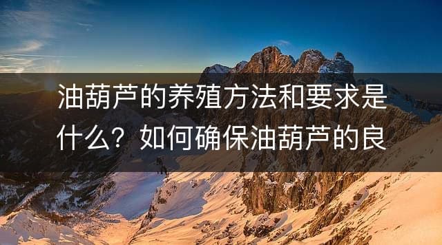 油葫芦的养殖方法和要求是什么？如何确保油葫芦的良好生长？