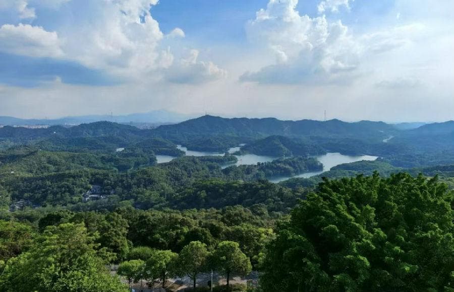 惠州红花湖景区游玩攻略：交通、门票、开放时间全攻略