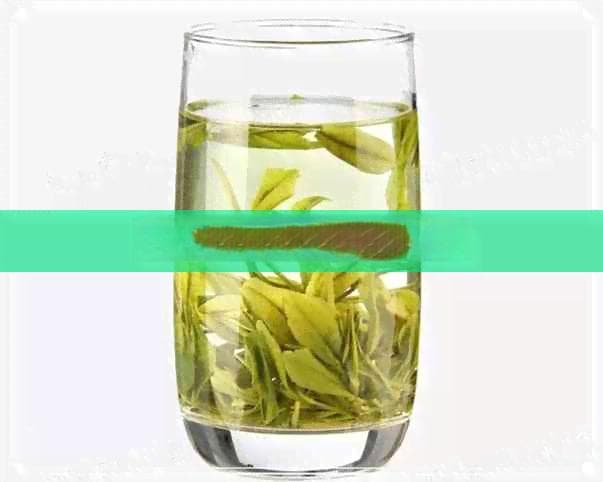 沙棘叶茶的功效与作用：从功效到禁忌的全面解析