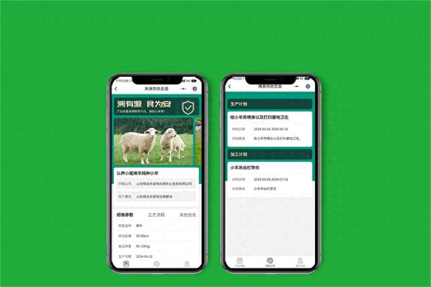 从传统到现代的华丽转身，大洼县认养农业如何引领农业新潮流