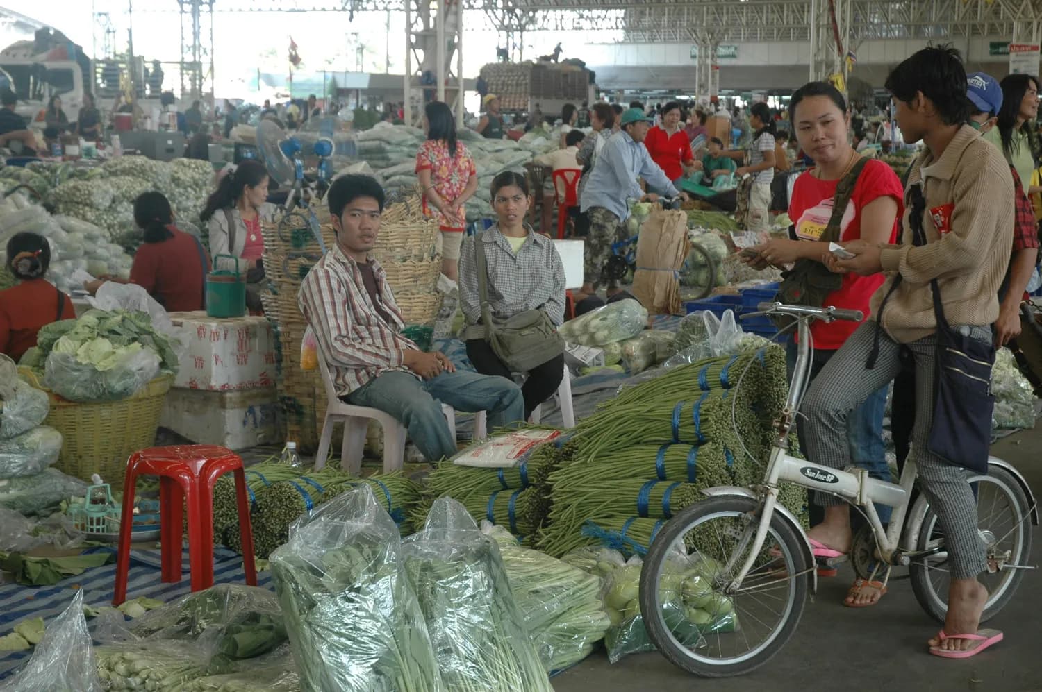 亳州中药材市场：全球最大的中药材交易中心