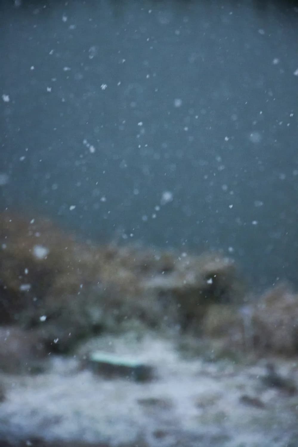 中央气象台发布暴雪预警：豫鲁鄂等地将现强降雪，春运交通受影响