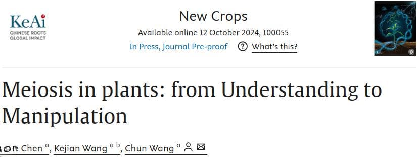 植物减数分裂分子机制研究新进展：从基础科学到育种应用