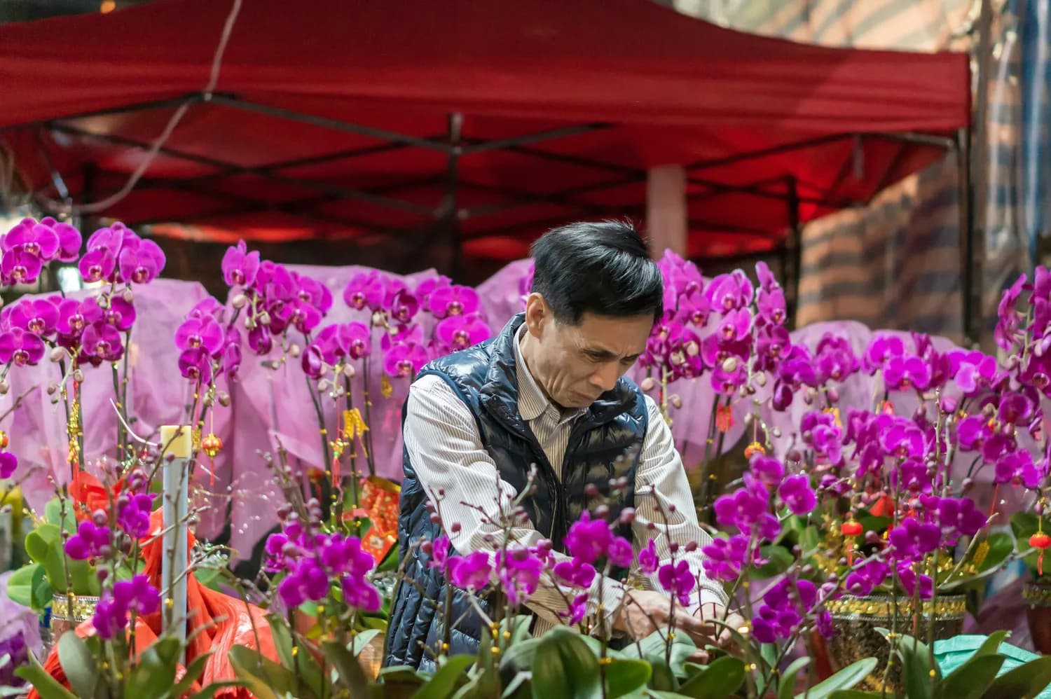 越秀西湖花市：非遗文化大赏