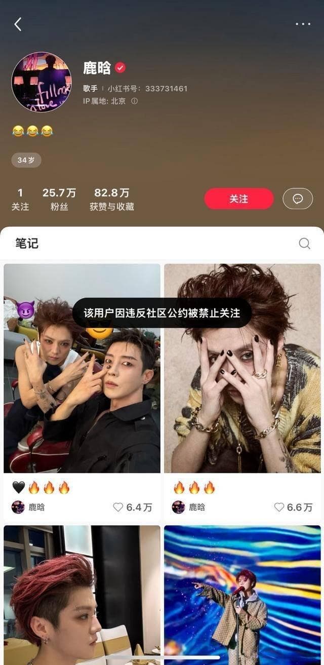 鹿晗社交媒体账号被禁关注：风波背后的反思与致歉