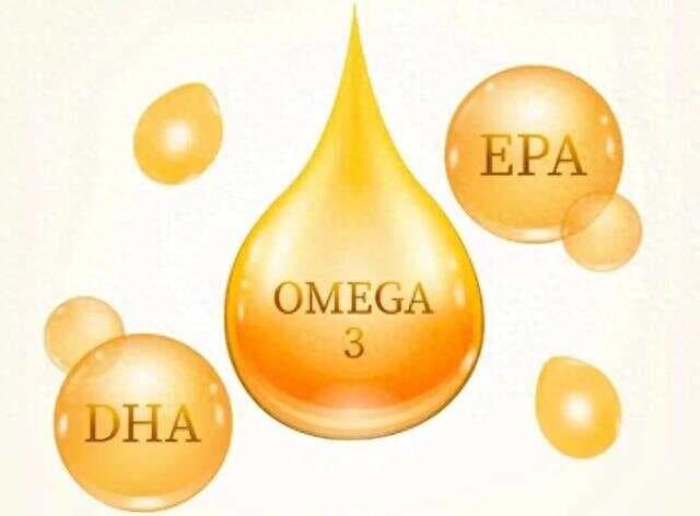 DHA、EPA：脑黄金真的能让孩子更聪明吗？