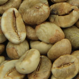 探秘乌干达罗布斯塔咖啡豆：浓郁风味与独特魅力