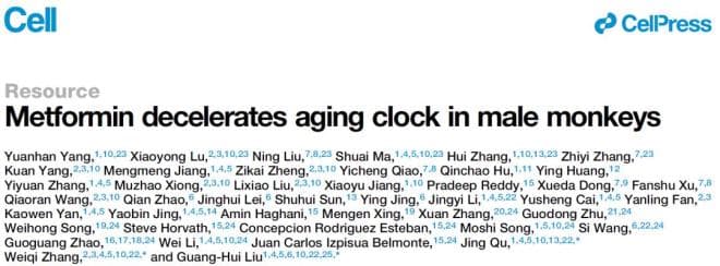 二甲双胍延缓灵长类衰老：中国科学家揭示延寿新机制
