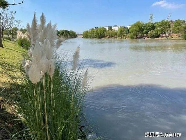 水环境恶化由什么原因造成的，如何进行水环境污染溯源