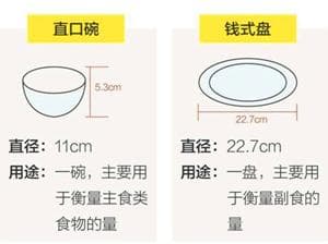 实用指南：如何快速估算食物重量
