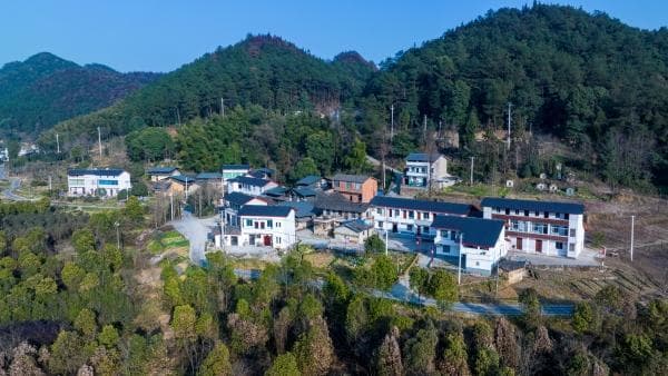 北碚歇马街道虎头村：农体旅“融”出乡村产业新优势
