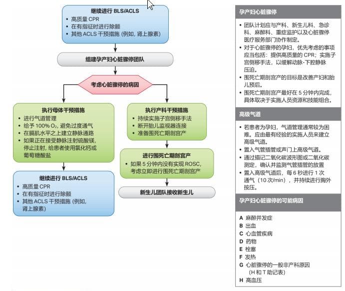 速记！正确的孕妇心肺复苏方法！