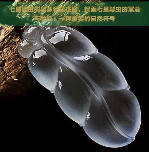 七星瓢虫的寓意和象征图，探索七星瓢虫的寓意与象征：一种重要的自然符号