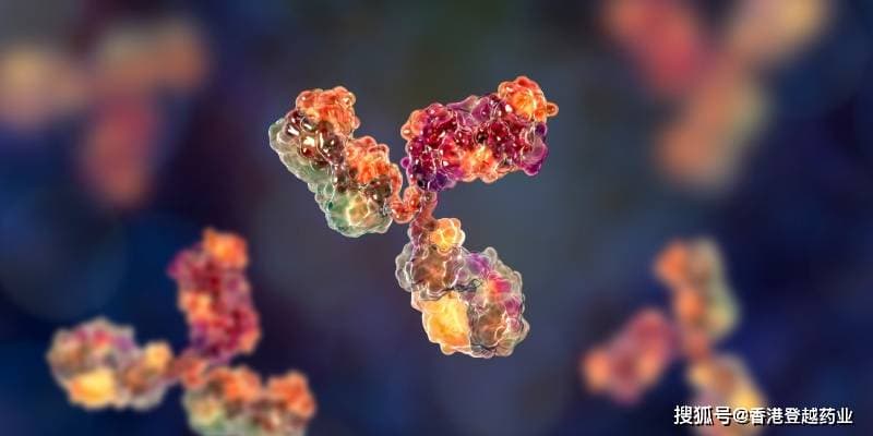 FDA授予Bexmarilimab治疗骨髓增生异常综合征（MDS）孤儿药资格