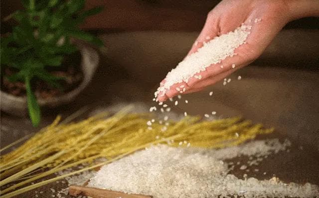 大米生虫能吃吗？揭秘原因及5种防治方法
