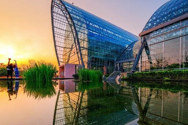 2024重庆南山植物园门票价格及游玩攻略