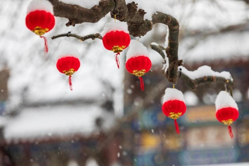 2024年腊八遇四九，有何不一般？今年春节冷吗？看看谚语怎么说