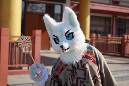 Furry文化：一种新兴的全球亚文化现象