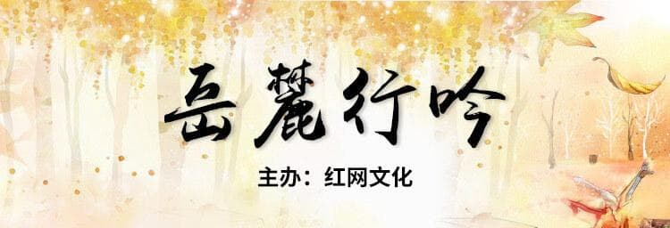 猫与城：从文化符号到经济现象