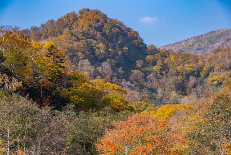 知床：北海道最后的秘境