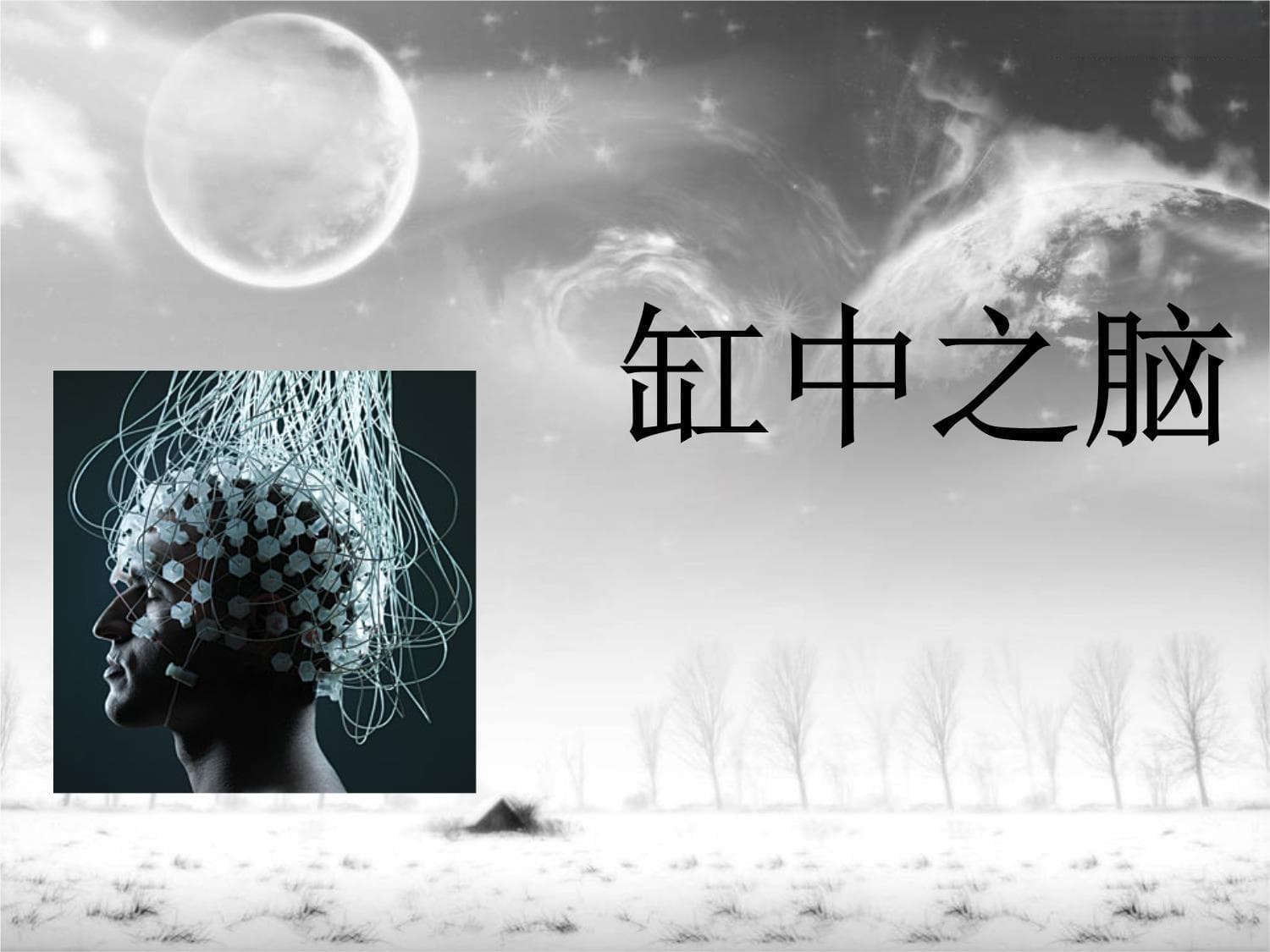 缸中之脑：一个经典的哲学命题