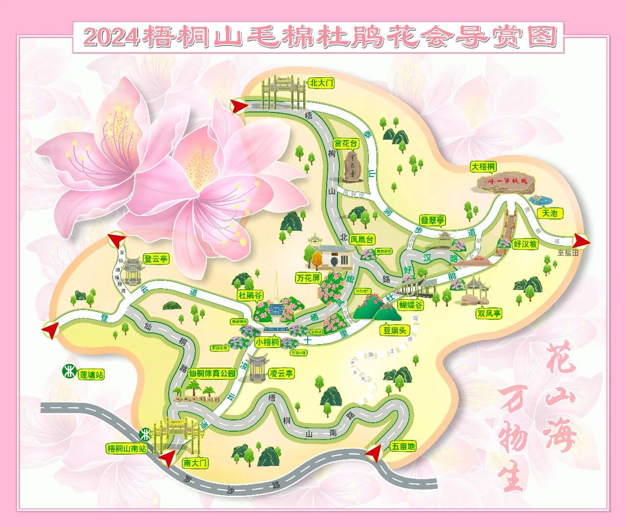 深圳梧桐山杜鹃花观赏线路 含网友实拍美景