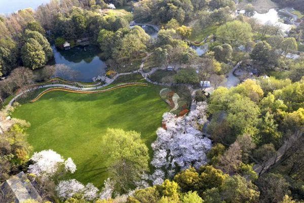 春日太子湾：50万株郁金香樱花齐放，杭州最浪漫的赏花地
